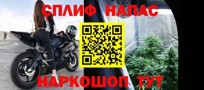 ешки Гагарин