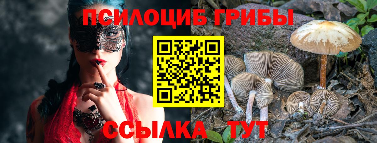 Псилоцибиновые грибы Psilocybine cubensis Рубцовск