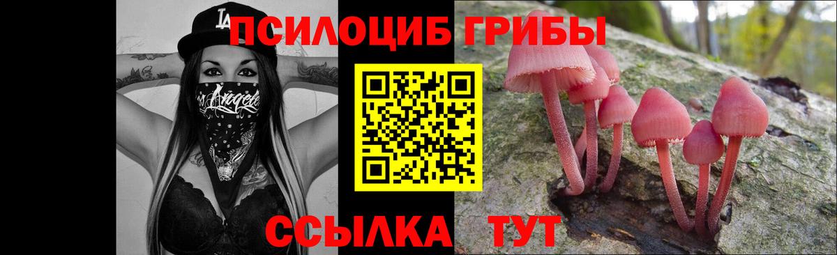 Рубцовск  Галлюциногенные грибы ЛСД  Вход с VPN 